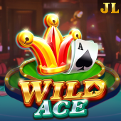 Wild Ace slot on Poppyplaytime